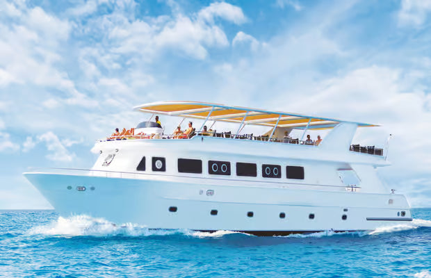 🏝️ Ras Mohammed & White Island Boat Trip – Sharm El Sheikh