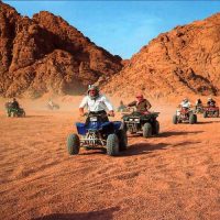 Moto safari on quad bikes
