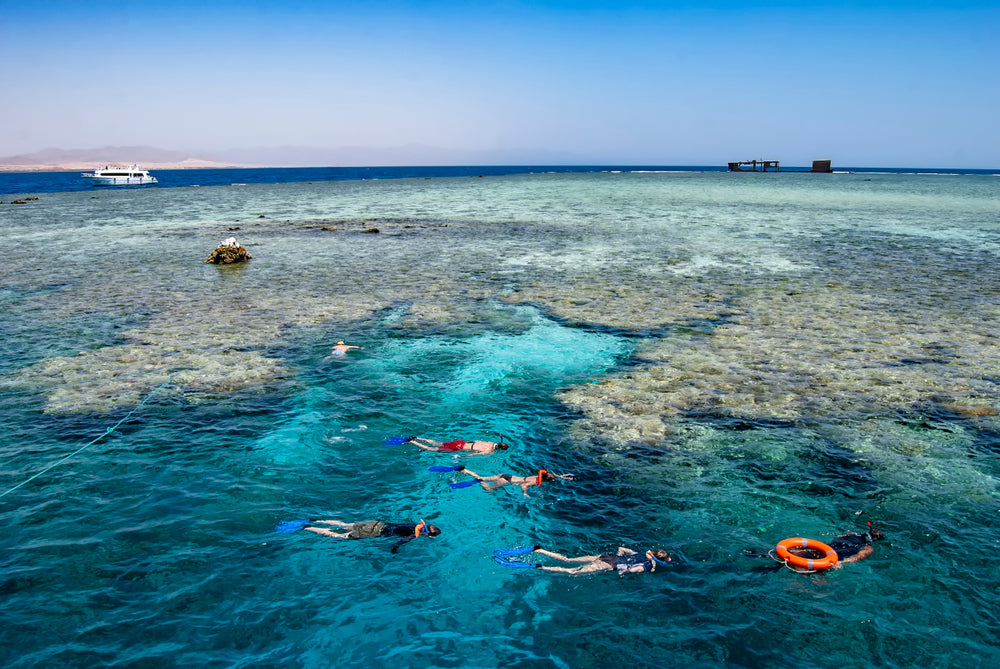 🐠 Tiran Island Snorkeling & Diving Trip – From Sharm El Sheikh