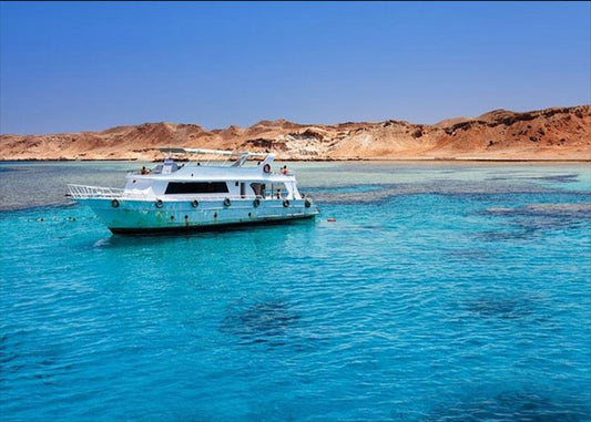 Tiran Island Snorkeling trip