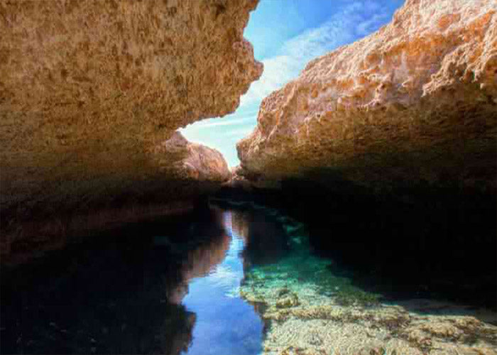Snorkeling in Ras Mohammed by bus