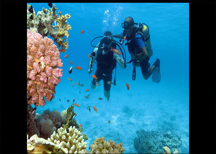 Tiran Island Snorkeling trip