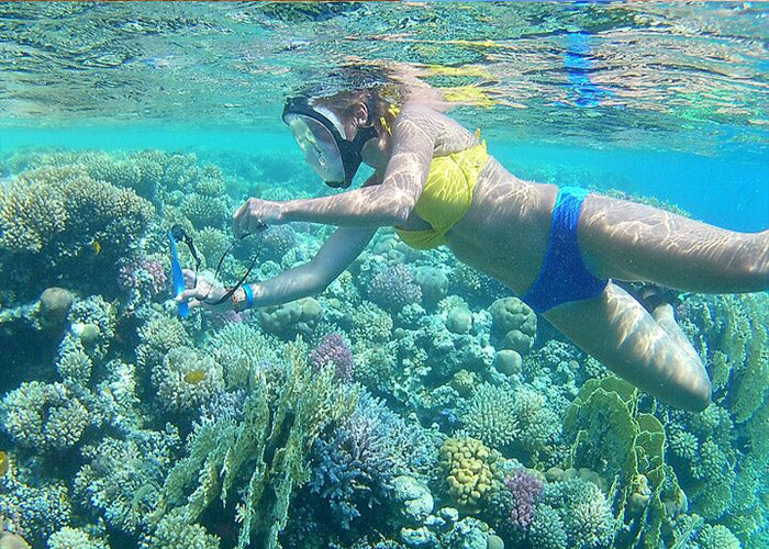 Snorkeling in Ras Mohammed by bus