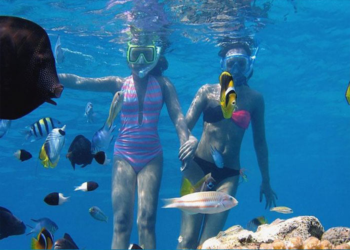 Tiran Island Snorkeling trip