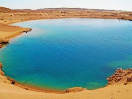 🏝️ Ras Mohammed National Park by Car – Half Day Tour